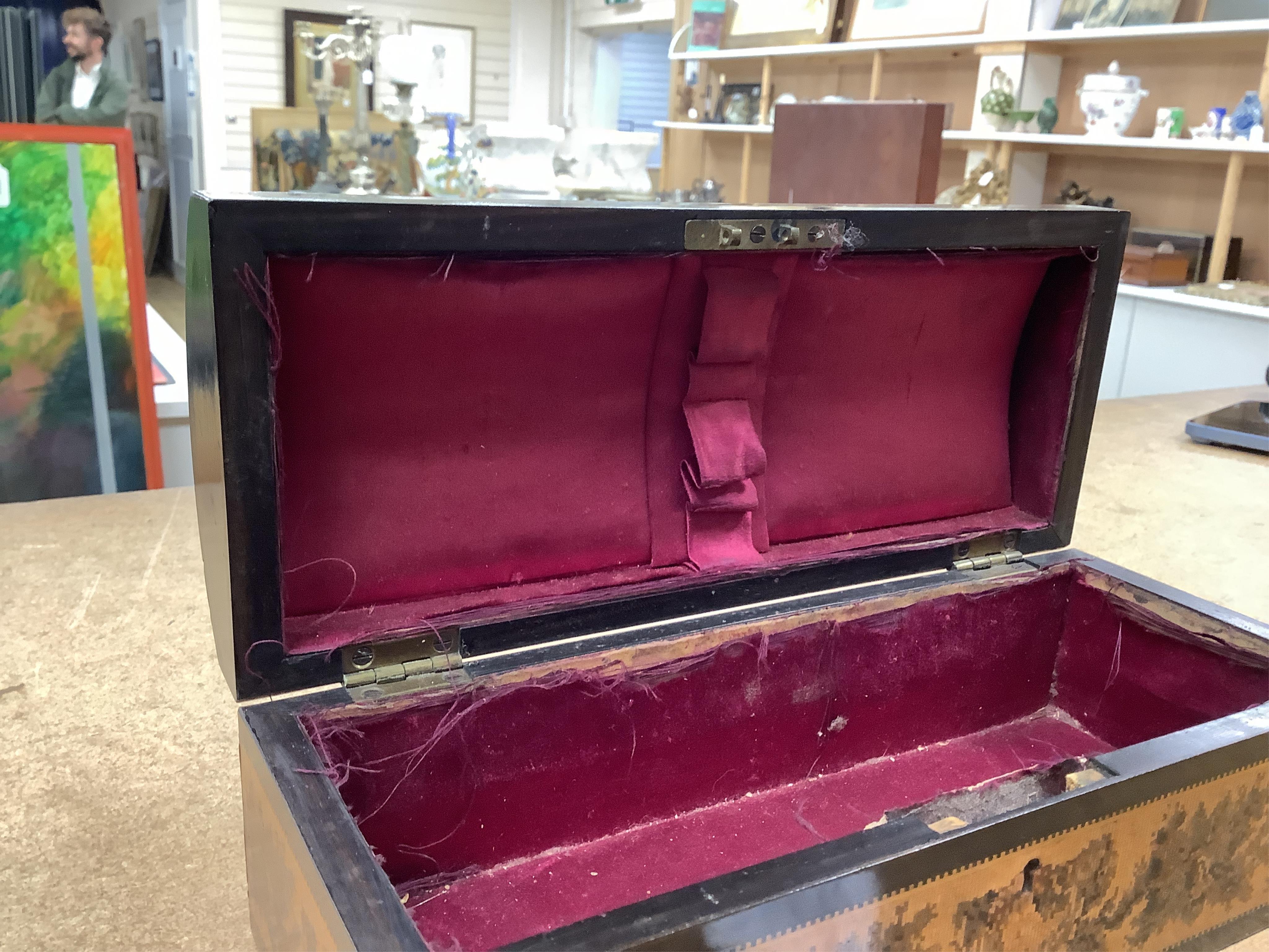 A Tunbridgeware specimen cube marquetry and Tesserae Mosaic domed glove box, c.1840, with silk lining, 24cm wide